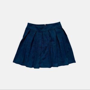 Banana Republic Navy Skater Skirt